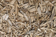 biomass boilers Higher Weaver